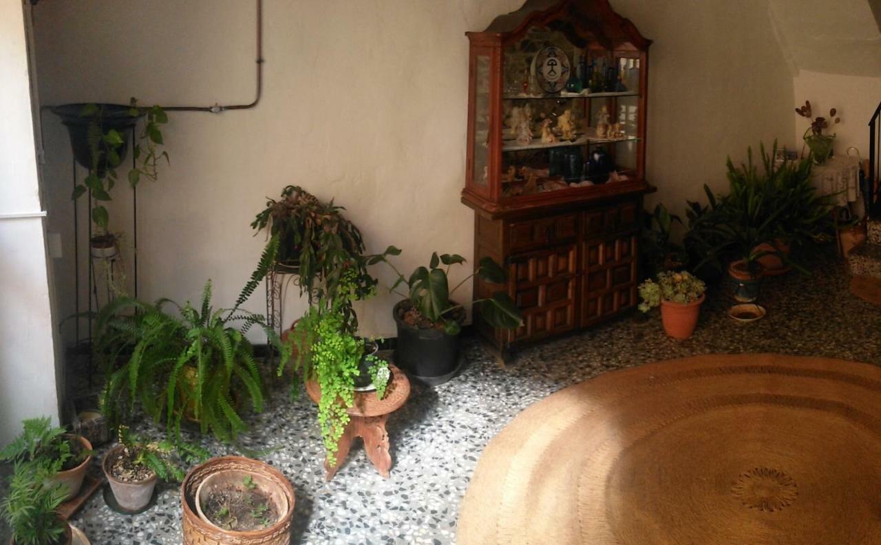 Apartament Rural Vilaplana Exterior foto